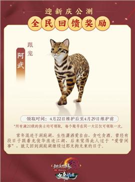 天龙八部私服登入器花屏